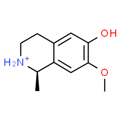 ChemSpider 2D Image | (1R)-6-Hydroxy-7-methoxy-1-methyl-1,2,3,4-tetrahydroisoquinolinium | C11H16NO2