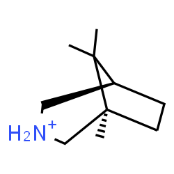 ChemSpider 2D Image | (1R,5R)-1,8,8-Trimethyl-3-azoniabicyclo[3.2.1]octane | C10H20N