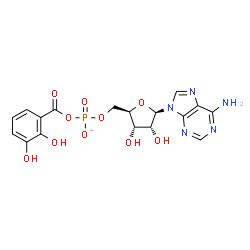 ChemSpider 2D Image | 5'-O-{[(2,3-Dihydroxybenzoyl)oxy]phosphinato}adenosine | C17H17N5O10P