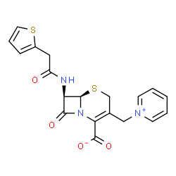 ChemSpider 2D Image | cephaloridine | C19H17N3O4S2