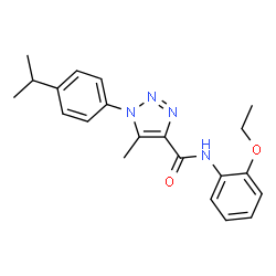 ChemSpider 2D Image | N-(2-Ethoxyphenyl)-1-(4-isopropylphenyl)-5-methyl-1H-1,2,3-triazole-4-carboxamide | C21H24N4O2