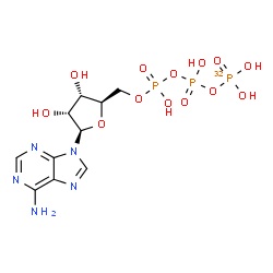 ChemSpider 2D Image | ATP-gamma-32P | C10H16N5O13P232P