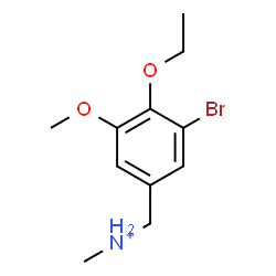 ChemSpider 2D Image | (3-Bromo-4-ethoxy-5-methoxyphenyl)-N-methylmethanaminium | C11H17BrNO2