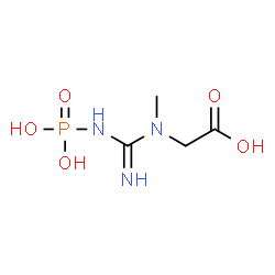 ChemSpider 2D Image | Phosphocreatine | C4H10N3O5P