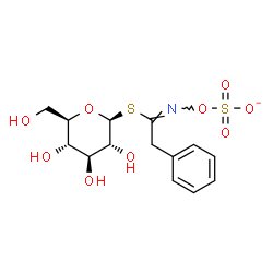 ChemSpider 2D Image | 1-S-[(1E)-2-Phenyl-N-(sulfonatooxy)ethanimidoyl]-1-thio-beta-D-glucopyranose | C14H18NO9S2