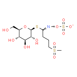 ChemSpider 2D Image | 1-S-[(1E)-4-(Methylsulfonyl)-N-(sulfonatooxy)butanimidoyl]-1-thio-beta-D-glucopyranose | C11H20NO11S3