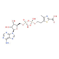 ChemSpider 2D Image | 5'-O-[(R)-{[(R)-[2-(2-Carboxy-4-methyl-1,3-thiazol-5-yl)ethoxy](hydroxy)phosphoryl]oxy}(hydroxy)phosphoryl]adenosine | C17H22N6O12P2S