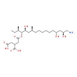 ChemSpider 2D Image | 2-(2-{[(3R,4R,5S,7S,14R,16S)-17-Amino-5,14,16-trihydroxy-3,7-dimethyl-4-heptadecanyl]oxy}-2-oxoethyl)succinic acid | C25H47NO9