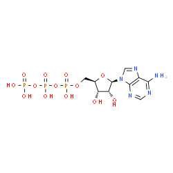 ChemSpider 2D Image | Adenosine triphosphate | C10H16N5O13P3