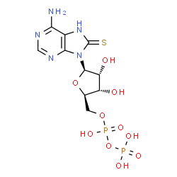 ChemSpider 2D Image | 8-Thioxo-8-hydroadenosine 5'-(trihydrogen diphosphate) | C10H15N5O10P2S