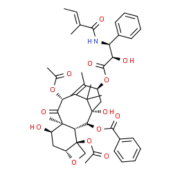 ChemSpider 2D Image | (2alpha,5beta,7alpha,10beta,13alpha)-4,10-Diacetoxy-1,7-dihydroxy-13-{[(2R,3S)-2-hydroxy-3-{[(2E)-2-methyl-2-butenoyl]amino}-3-phenylpropanoyl]oxy}-9-oxo-5,20-epoxytax-11-en-2-yl benzoate | C45H53NO14