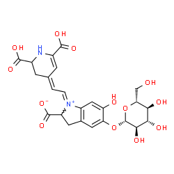 ChemSpider 2D Image | (1E)-1-[(2Z)-2-(2,6-Dicarboxy-2,3-dihydro-4(1H)-pyridinylidene)ethylidene]-5-(beta-D-glucopyranosyloxy)-6-hydroxy-2,3-dihydro-1H-indolium-2-carboxylate | C24H26N2O13
