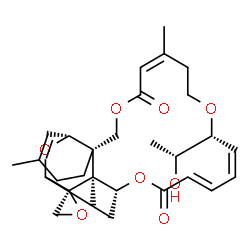 ChemSpider 2D Image | (2S,3'R,8'R,12'Z,17'R,18'Z,20'E,24'R,25'S)-17'-[(1R)-1-Hydroxyethyl]-5',13',25'-trimethyl-11'H,22'H-spiro[oxirane-2,26'-[2,10,16,23]tetraoxatetracyclo[22.2.1.0~3,8~.0~8,25~]heptacosa[4,12,18,20]tetrae
ne]-11',22'-dione | C29H38O8