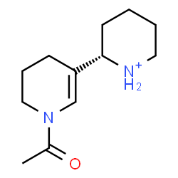 ChemSpider 2D Image | (2S)-2-(1-Acetyl-1,4,5,6-tetrahydro-3-pyridinyl)piperidinium | C12H21N2O