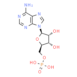 ChemSpider 2D Image | Adenosine monophosphate | C10H14N5O7P