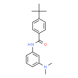ChemSpider 2D Image | N-[3-(Dimethylamino)phenyl]-4-(2-methyl-2-propanyl)benzamide | C19H24N2O