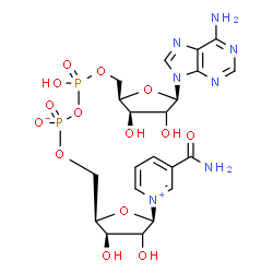 ChemSpider 2D Image | [[(2R,3R,5R)-5-(6-aminopurin-9-yl)-3,4-dihydroxy-tetrahydrofuran-2-yl]methoxy-hydroxy-phosphoryl] [(2R,3R,5R)-5-(3-carbamoylpyridin-1-ium-1-yl)-3,4-dihydroxy-tetrahydrofuran-2-yl]methyl phosphate | C21H27N7O14P2