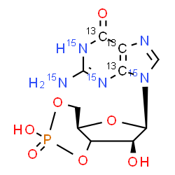 ChemSpider 2D Image | 2-(~15~N)Amino-9-[(4aR,6R,7S)-2,7-dihydroxy-2-oxidotetrahydro-4H-furo[3,2-d][1,3,2]dioxaphosphinin-6-yl](4,5,6-~13~C_3_,1,3,9-~15~N_3_)-1,9-dihydro-6H-purin-6-one | C713C3H12N15N4O7P
