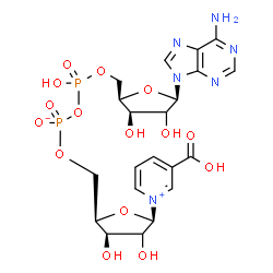ChemSpider 2D Image | [[(2R,3R,5R)-5-(6-aminopurin-9-yl)-3,4-dihydroxy-tetrahydrofuran-2-yl]methoxy-hydroxy-phosphoryl] [(2R,3R,5R)-5-(3-carboxypyridin-1-ium-1-yl)-3,4-dihydroxy-tetrahydrofuran-2-yl]methyl phosphate | C21H26N6O15P2