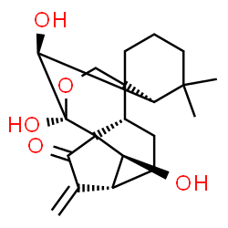 ChemSpider 2D Image | (6beta,7beta,9beta,10xi,14S)-6,7,14-Trihydroxy-7,20-epoxykaur-16-en-15-one | C20H28O5