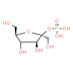 ChemSpider 2D Image | (4xi)-2-O-Phosphono-beta-D-threo-hex-2-ulofuranose | C6H13O9P