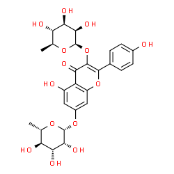 ChemSpider 2D Image | 3-[(6-Deoxy-beta-L-mannopyranosyl)oxy]-5-hydroxy-2-(4-hydroxyphenyl)-4-oxo-4H-chromen-7-yl 6-deoxy-beta-L-mannopyranoside | C27H30O14