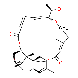 ChemSpider 2D Image | (1'R,2S,3'R,8'R,12'E,17'R,18'E,24'R,25'S)-17'-[(1R)-1-Hydroxyethyl]-5',13',25'-trimethyl-11'H,22'H-spiro[oxirane-2,26'-[2,10,16,23]tetraoxatetracyclo[22.2.1.0~3,8~.0~8,25~]heptacosa[4,12,18,20]tetraen
e]-11',22'-dione | C29H38O8