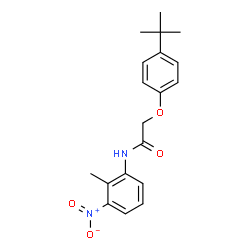 ChemSpider 2D Image | N-(2-Methyl-3-nitrophenyl)-2-[4-(2-methyl-2-propanyl)phenoxy]acetamide | C19H22N2O4