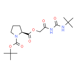 ChemSpider 2D Image | 1-(2-Methyl-2-propanyl) 2-(2-{[(2-methyl-2-propanyl)carbamoyl]amino}-2-oxoethyl) (2S)-1,2-pyrrolidinedicarboxylate | C17H29N3O6