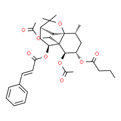 ChemSpider 2D Image | (1S,2R,4S,5S,6R,7S,9R)-5-Acetoxy-6-(acetoxymethyl)-2,10,10-trimethyl-7-{[(2E)-3-phenyl-2-propenoyl]oxy}-11-oxatricyclo[7.2.1.0~1,6~]dodec-4-yl butyrate | C32H42O9