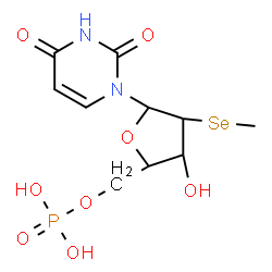 ChemSpider 2D Image | 1-(2-Se-Methyl-5-O-phosphono-2-seleno-beta-L-ribofuranosyl)-2,4(1H,3H)-pyrimidinedione | C10H15N2O8PSe
