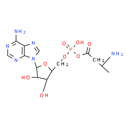 ChemSpider 2D Image | 5'-O-[(R)-{[(3S)-3-Aminobutanoyl]oxy}(hydroxy)phosphoryl]adenosine | C14H21N6O8P
