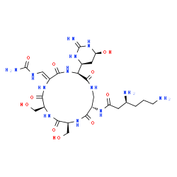 ChemSpider 2D Image | (3S)-3,6-Diamino-N-[(3S,6Z,9S,12S,15S)-6-[(carbamoylamino)methylene]-3-[(4S,6S)-6-hydroxy-2-iminohexahydro-4-pyrimidinyl]-9,12-bis(hydroxymethyl)-2,5,8,11,14-pentaoxo-1,4,7,10,13-pentaazacyclohexadeca
n-15-yl]hexanamide | C25H43N13O10