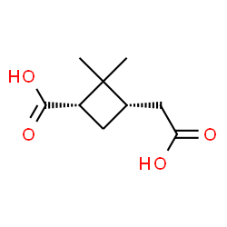 ChemSpider 2D Image | (1S,3S)-3-(Carboxymethyl)-2,2-dimethylcyclobutanecarboxylic acid | C9H14O4