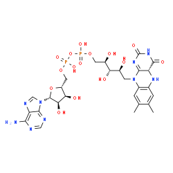ChemSpider 2D Image | [(2R,3S,4R,5R)-5-(6-Amino-9H-purin-9-yl)-3,4-dihydroxytetrahydro-2-furanyl]methyl (2R,3S,4S)-5-[(4aR)-7,8-dimethyl-2,4-dioxo-3,4,4a,5-tetrahydrobenzo[g]pteridin-10(2H)-yl]-2,3,4-trihydroxypentyl dihyd
rogen diphosphate (non-preferred name) | C27H35N9O15P2