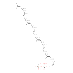 ChemSpider 2D Image | (2Z,6E,10E,14E,18E,22E,26E)-3,7,11,15,19,23,27,31-Octamethyl-2,6,10,14,18,22,26,30-dotriacontaoctaen-1-yl trihydrogen diphosphate | C40H68O7P2