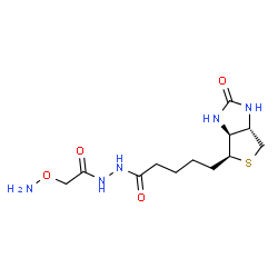 ChemSpider 2D Image | N'-[(Aminooxy)acetyl]-5-[(3aS,4S,6aS)-2-oxohexahydro-1H-thieno[3,4-d]imidazol-4-yl]pentanehydrazide | C12H21N5O4S