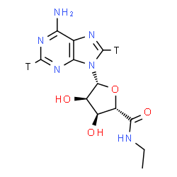 ChemSpider 2D Image | (2S,3S,4R,5R)-5-[6-Amino(~3~H_2_)-9H-purin-9-yl]-N-ethyl-3,4-dihydroxytetrahydro-2-furancarboxamide (non-preferred name) | C12H14T2N6O4