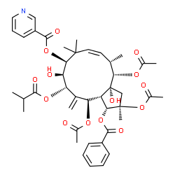 ChemSpider 2D Image | (2R,3R,3aS,4R,6S,7S,8S,10Z,12S,13S,13aR)-2,4,13-Triacetoxy-3-(benzoyloxy)-7,13a-dihydroxy-6-(isobutyryloxy)-2,9,9,12-tetramethyl-5-methylene-2,3,3a,4,5,6,7,8,9,12,13,13a-dodecahydro-1H-cyclopenta[12]a
nnulen-8-yl nicotinate | C43H53NO14