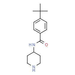 ChemSpider 2D Image | 4-tert-butyl-N-piperidin-4-ylbenzamide | C16H24N2O