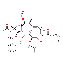 ChemSpider 2D Image | (2R,3aS,4R,6S,7S,8S,10E,12S,13S,13aR)-2,4,13-Triacetoxy-3-(benzoyloxy)-7,13a-dihydroxy-6-(isobutyryloxy)-2,9,9,12-tetramethyl-5-methylene-2,3,3a,4,5,6,7,8,9,12,13,13a-dodecahydro-1H-cyclopenta[12]annu
len-8-yl nicotinate | C43H53NO14