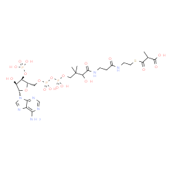 ChemSpider 2D Image | 1-[(2S,3R,4S,5S)-5-(6-Amino-9H-purin-9-yl)-4-hydroxy-3-(phosphonooxy)tetrahydro-2-furanyl]-3,5,9-trihydroxy-8,8,20-trimethyl-10,14,19-trioxo-2,4,6-trioxa-18-thia-11,15-diaza-3,5-diphosphahenicosan-21-
oic acid 3,5-dioxide (non-preferred name) | C25H40N7O19P3S