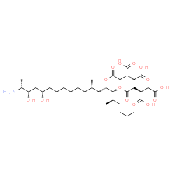 ChemSpider 2D Image | (2R,2'R)-2,2'-{[(5R,6R,7S,9R,16S,18S,19R)-19-Amino-16,18-dihydroxy-5,9-dimethyl-6,7-icosanediyl]bis[oxy(2-oxo-2,1-ethanediyl)]}disuccinic acid | C34H59NO14