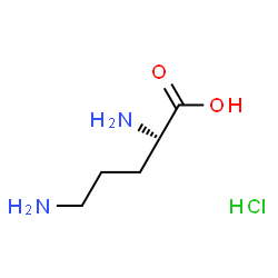 ChemSpider 2D Image | Ornithine hydrochloride | C5H13ClN2O2