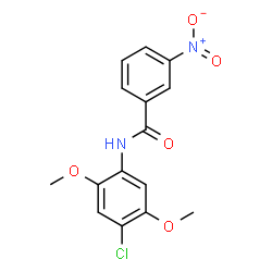 ChemSpider 2D Image | N-(4-Chloro-2,5-dimethoxyphenyl)-3-nitrobenzamide | C15H13ClN2O5