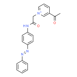 ChemSpider 2D Image | 3-Acetyl-1-[2-oxo-2-({4-[(E)-phenyldiazenyl]phenyl}amino)ethyl]pyridinium | C21H19N4O2