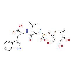 ChemSpider 2D Image | 2-({2-[(Hydroxy{[(2R,3S,4S,5S,6R)-3,4,5-trihydroxy-6-methyltetrahydro-2H-pyran-2-yl]oxy}phosphoryl)amino]-4-methylpentanoyl}amino)-3-(1H-indol-3-yl)propanoic acid (non-preferred name) | C23H34N3O10P