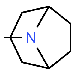 ChemSpider 2D Image | 8-Methyl-8-azabicyclo[3.2.1]octane | C8H15N