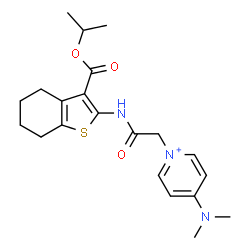 ChemSpider 2D Image | 4-(Dimethylamino)-1-(2-{[3-(isopropoxycarbonyl)-4,5,6,7-tetrahydro-1-benzothiophen-2-yl]amino}-2-oxoethyl)pyridinium | C21H28N3O3S