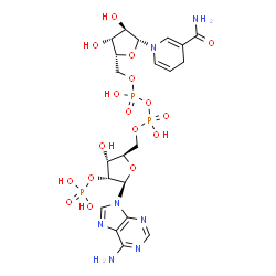 ChemSpider 2D Image | [[(2R,3R,4R,5R)-5-(6-aminopurin-9-yl)-3-hydroxy-4-phosphonooxy-tetrahydrofuran-2-yl]methoxy-hydroxy-phosphoryl] [(2R,3R,4R,5R)-5-(3-carbamoyl-4H-pyridin-1-yl)-3,4-dihydroxy-tetrahydrofuran-2-yl]methyl hydrogen phosphate | C21H30N7O17P3